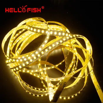 Здравейте Fish 5m 600 SMD 5630 LED Strip 12V Flexible LED осветление light 120 led/m LED Light Tape White/Warm White